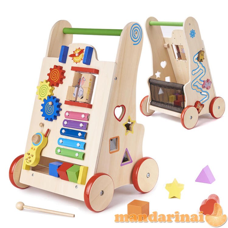 Pusher Walker Wooden Education Cube 6in1