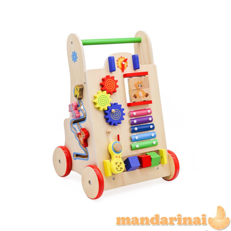 Pusher Walker Wooden Education Cube 6in1