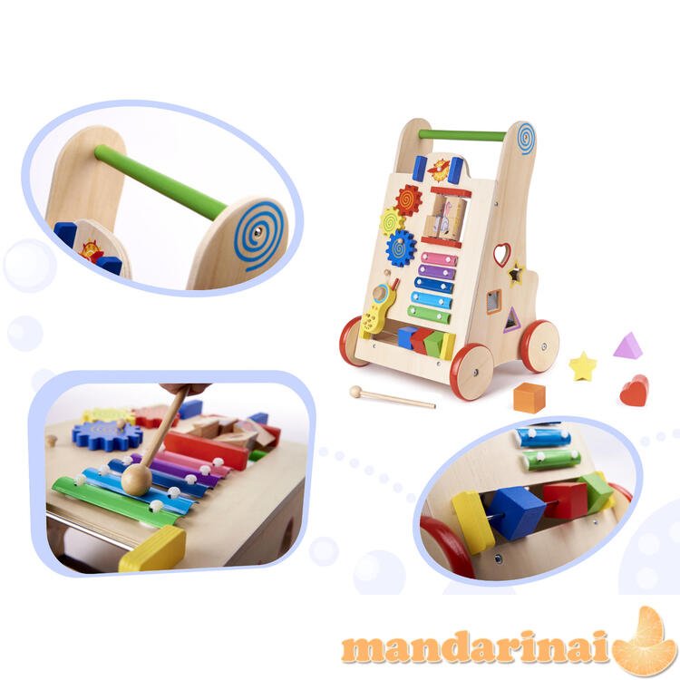 Pusher Walker Wooden Education Cube 6in1