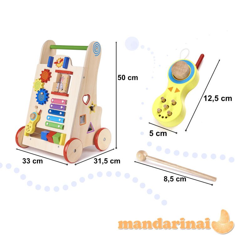 Pusher Walker Wooden Education Cube 6in1